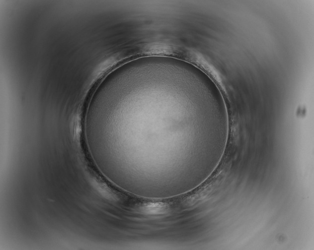 X0000102860059200808181452