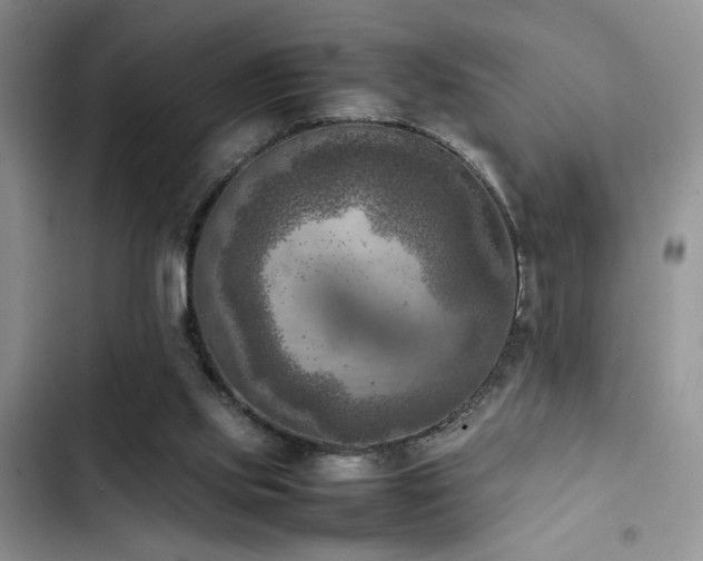 X0000102860061200808181452