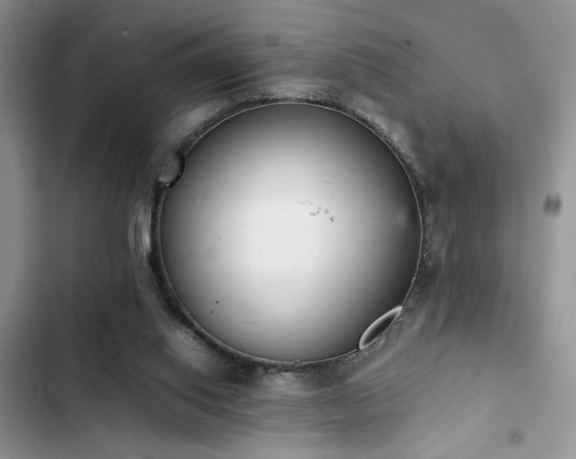 X0000102860062200808181452