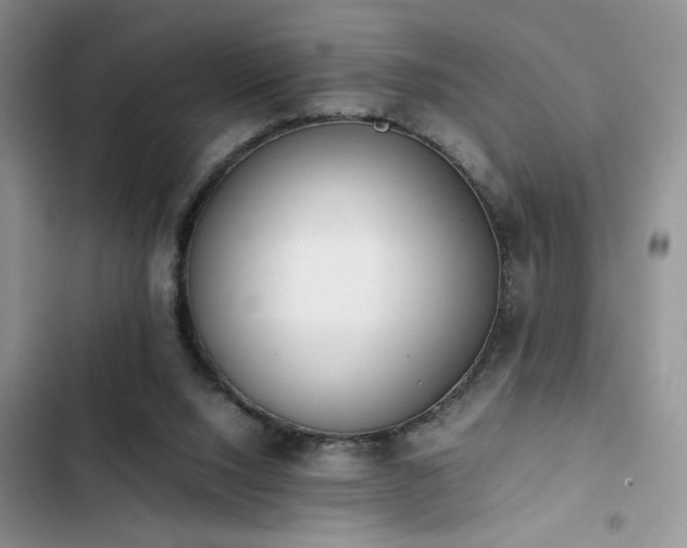 X0000102860064200808181452