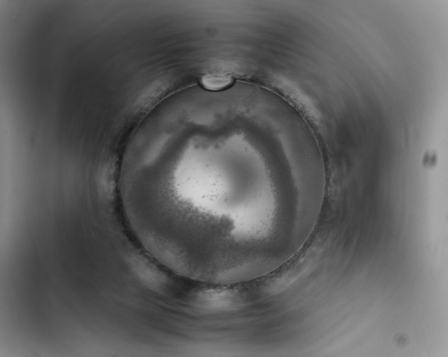 X0000102860065200808181452