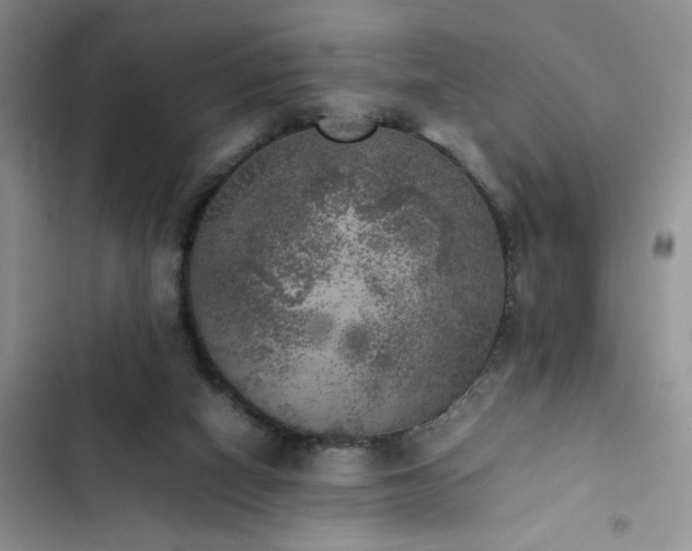 X0000102860066200808181452