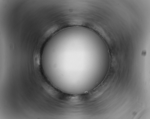 X0000102860068200808181452