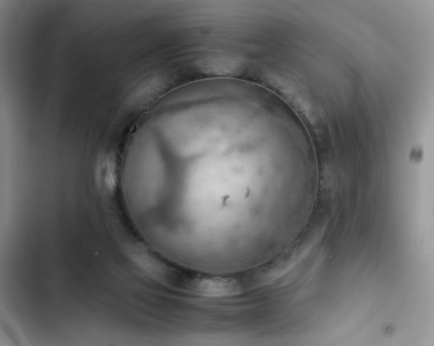 X0000102860069200808181452