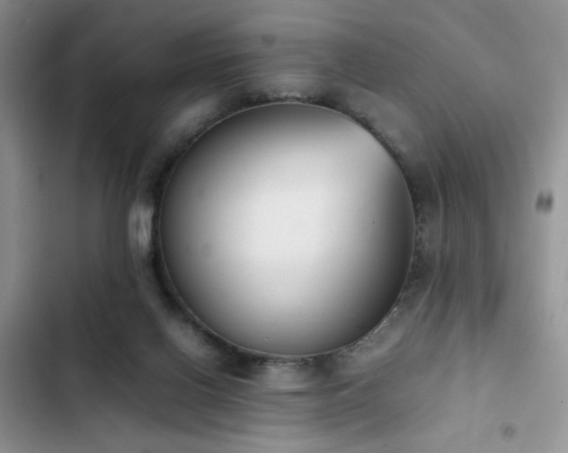 X0000102860070200808181452