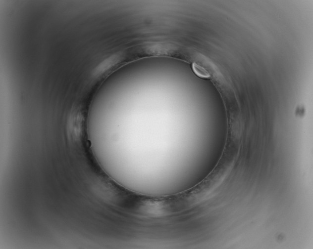 X0000102860071200808181452