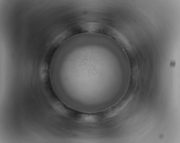 X0000102860073200808181452