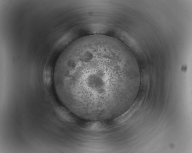 X0000102860074200808181452