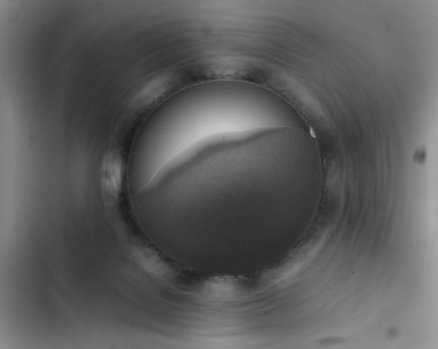 X0000102860076200808181452