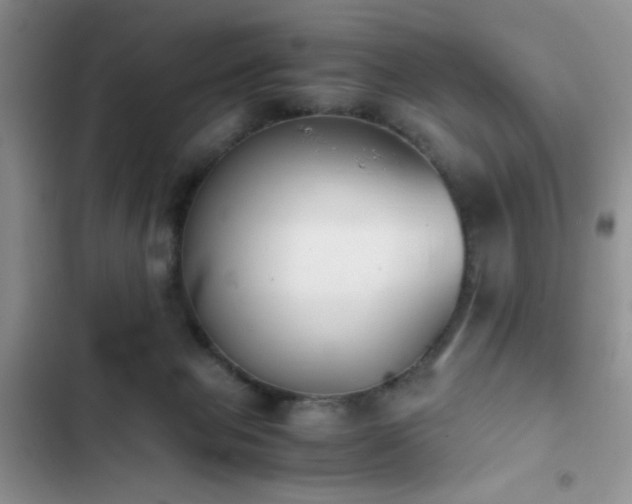 X0000102860077200808181452