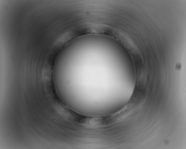 X0000102860078200808181452