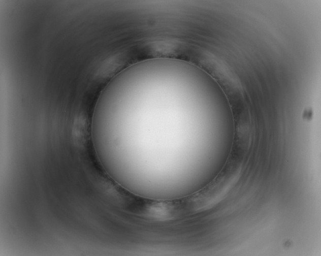 X0000102860079200808181452