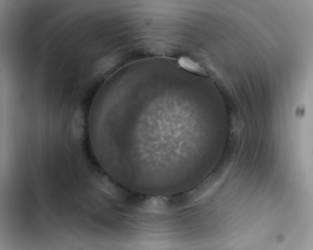 X0000102860080200808181452