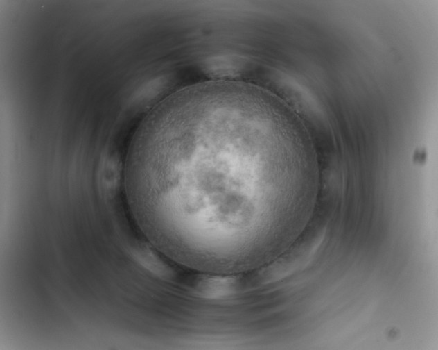 X0000102860081200808181452