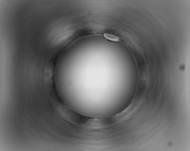 X0000102860082200808181452