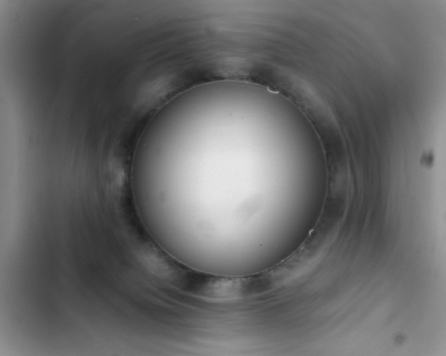 X0000102860084200808181452