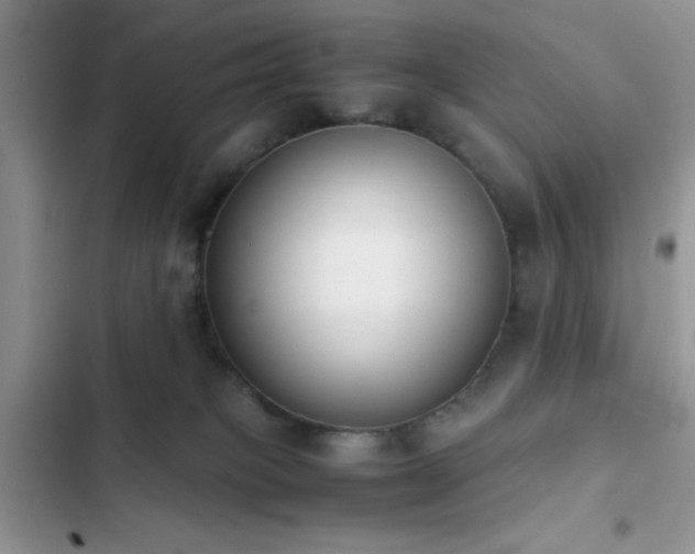 X0000102860085200808181452