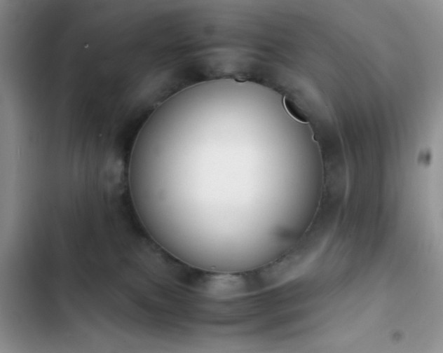 X0000102860087200808181452