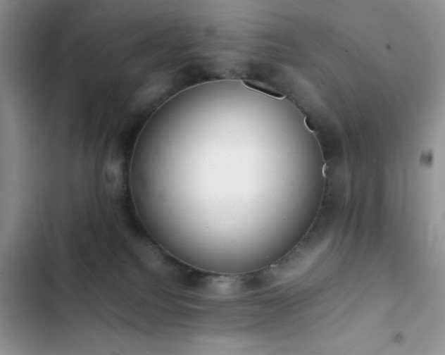 X0000102860088200808181452