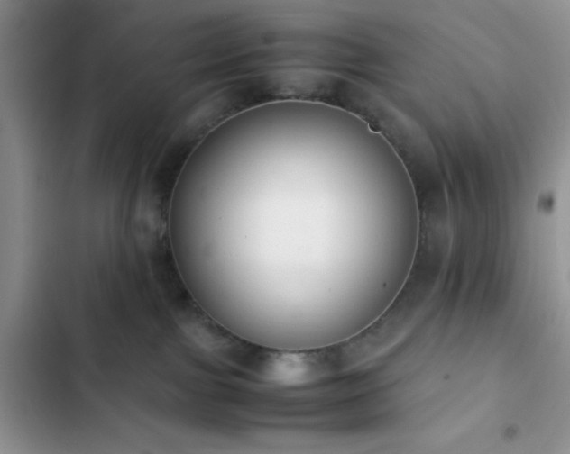 X0000102860091200808181452