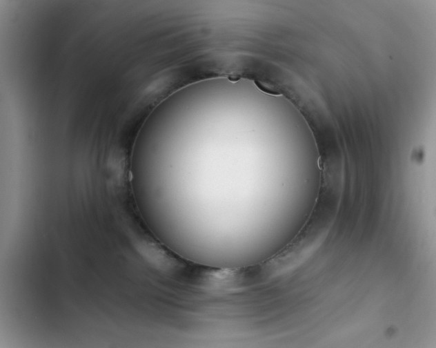 X0000102860092200808181452