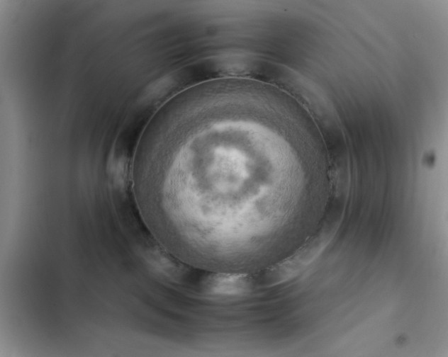 X0000102860093200808181452