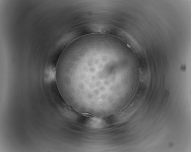 X0000102860095200808181452