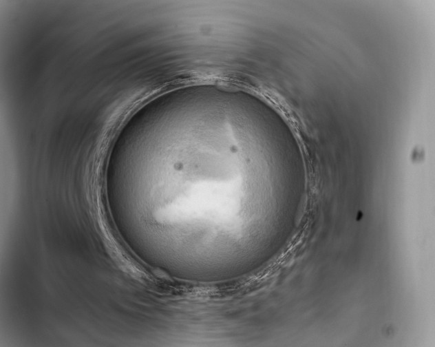 X0000102860097200808181451