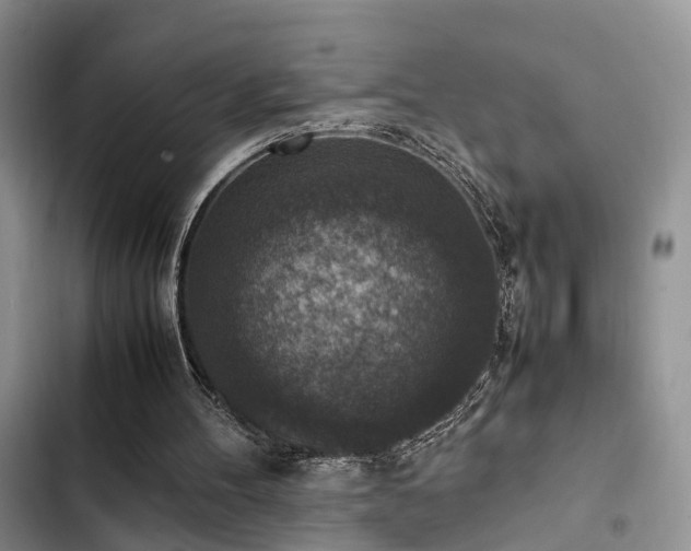 X0000102860100200808181451