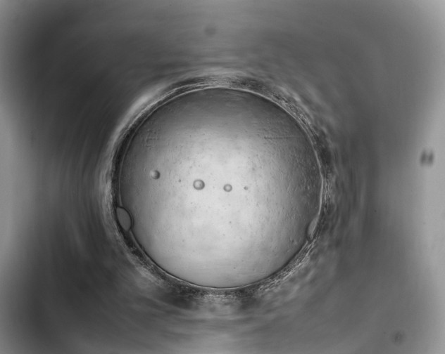 X0000102860101200808181451