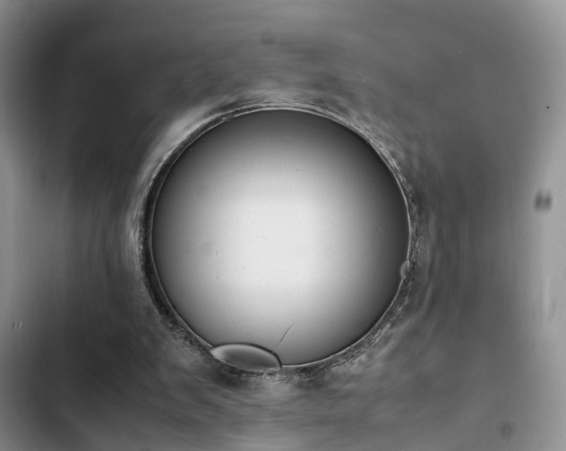 X0000102860103200808181451