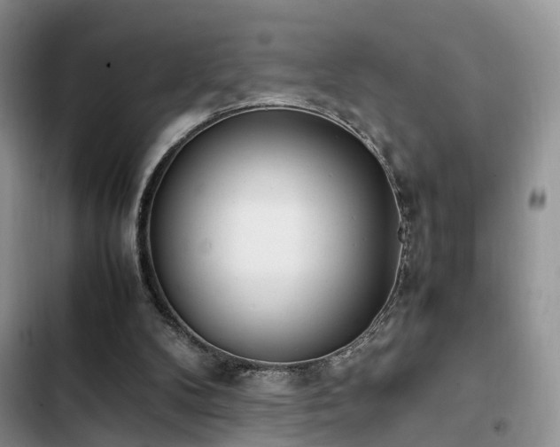 X0000102860104200808181451