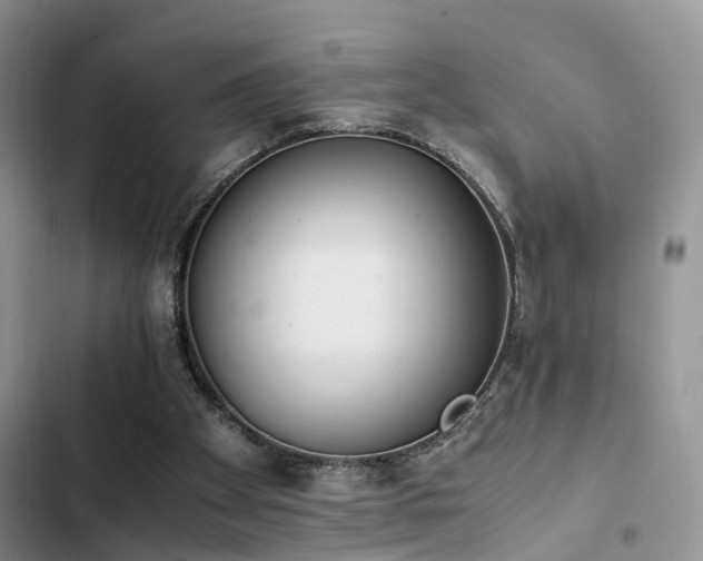 X0000102860105200808181451