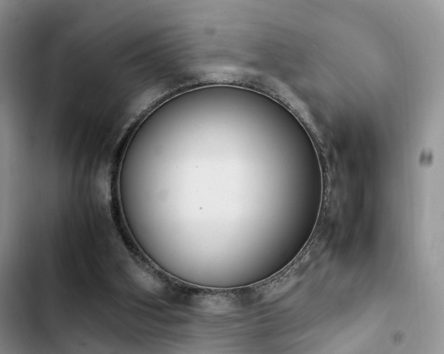 X0000102860106200808181451