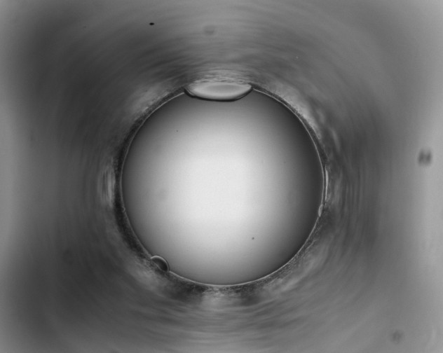 X0000102860109200808181451