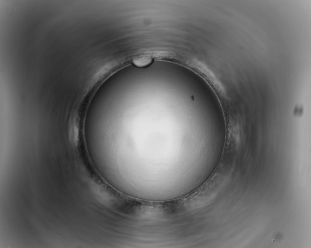 X0000102860110200808181451