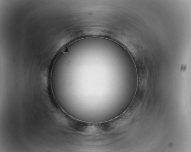 X0000102860111200808181451