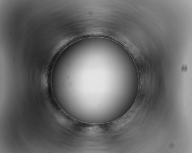 X0000102860112200808181451