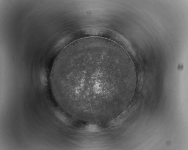 X0000102860114200808181451