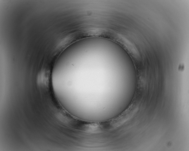 X0000102860118200808181451