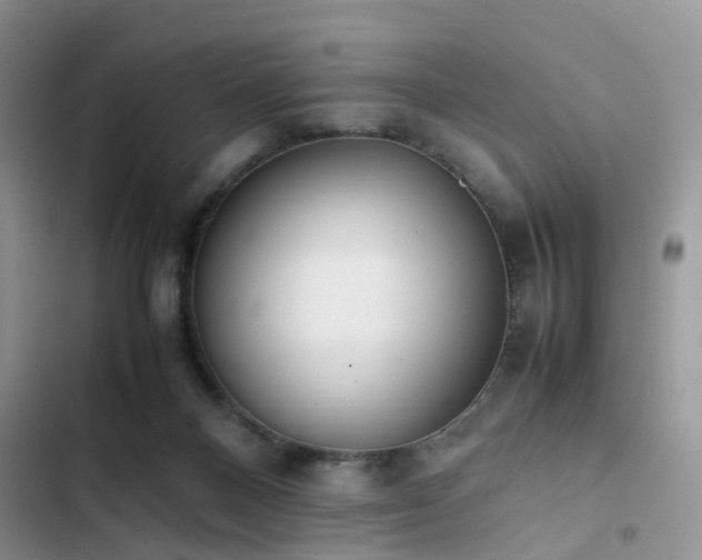 X0000102860120200808181451