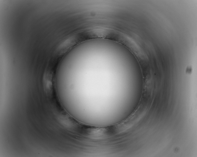 X0000102860122200808181451