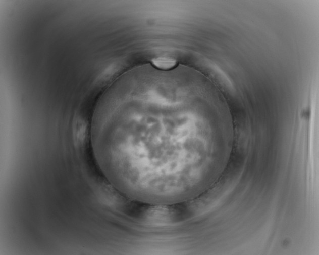 X0000102860123200808181451