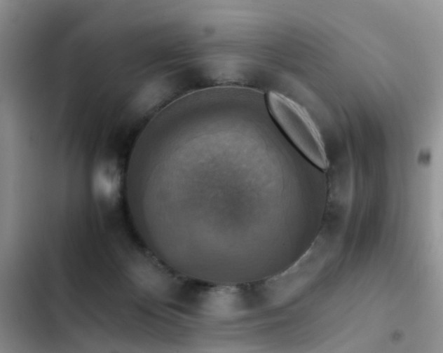 X0000102860124200808181451