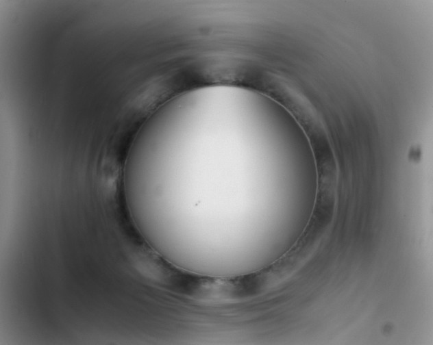 X0000102860125200808181451