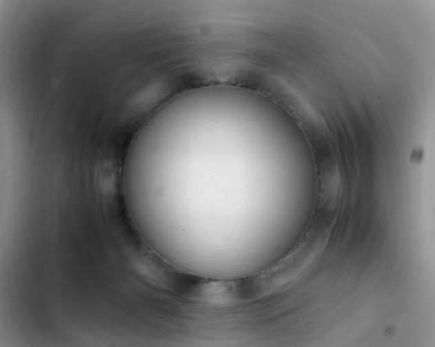 X0000102860126200808181451