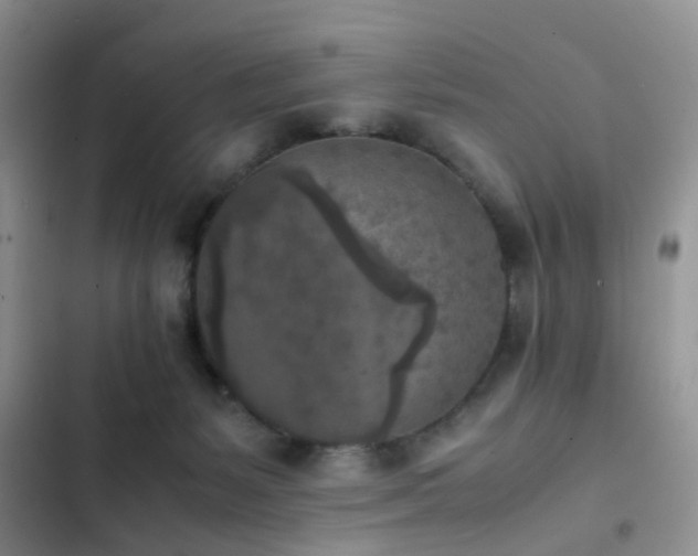 X0000102860127200808181451