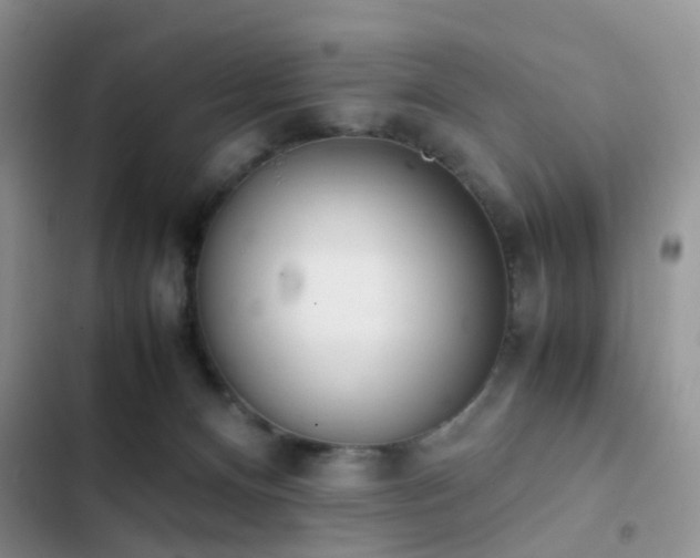 X0000102860128200808181451