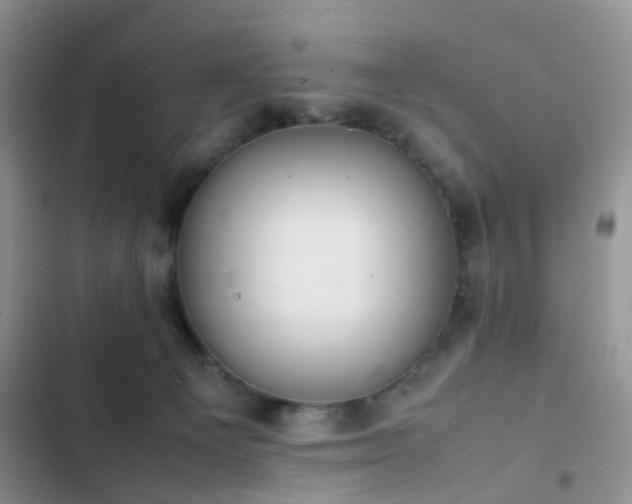 X0000102860129200808181451