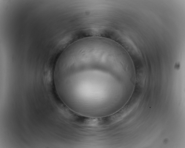 X0000102860131200808181451